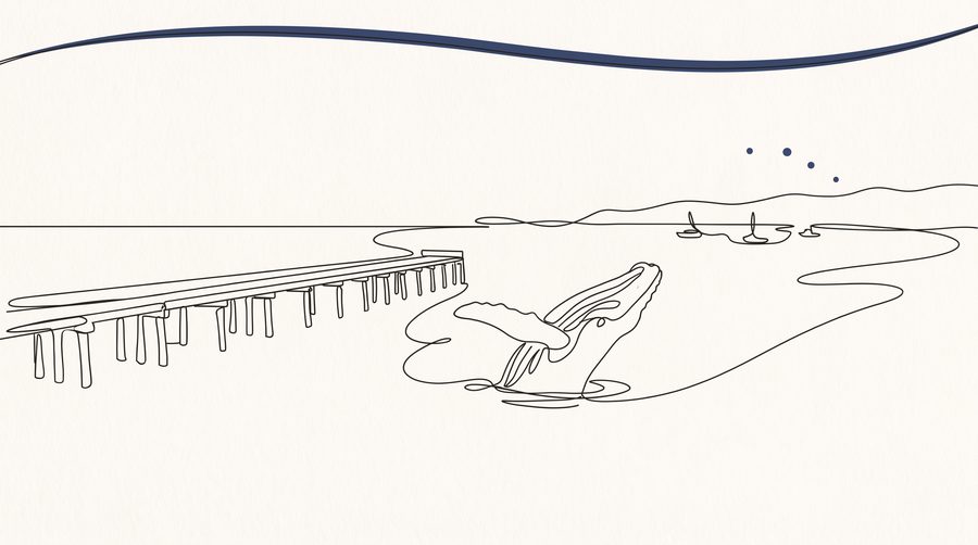 Hervey Bay What's On newsletter hero illustration